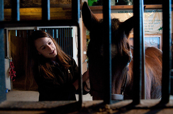 EQUINE