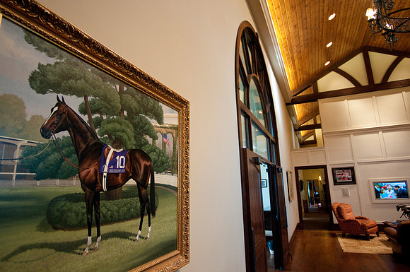 EQUINE