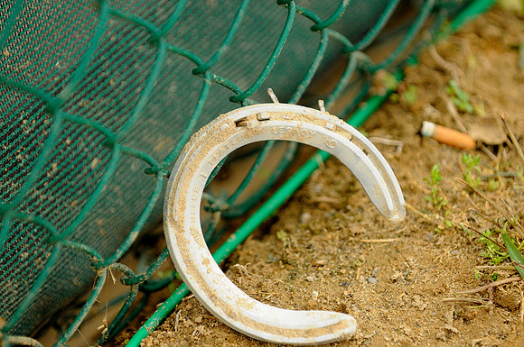 EQUINE