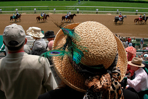 EQUINE