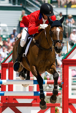 EQUINE