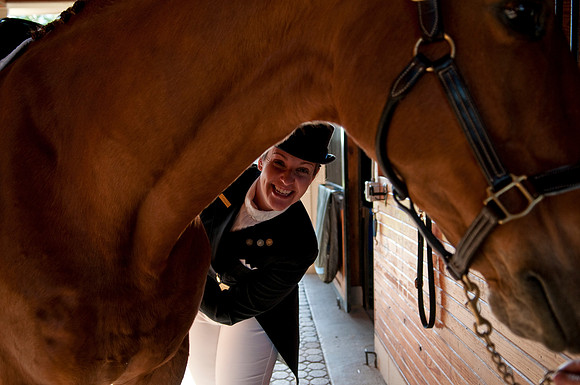 EQUINE