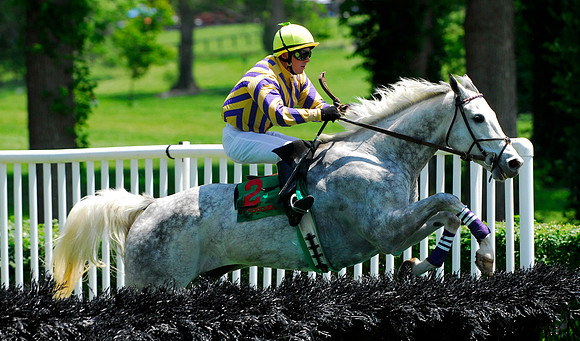 EQUINE
