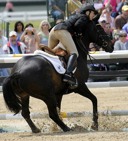 EQUINE