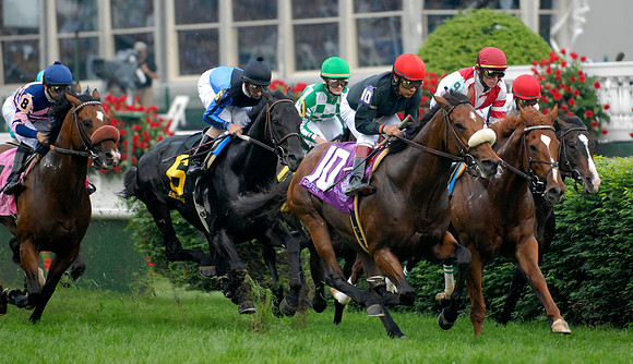 EQUINE