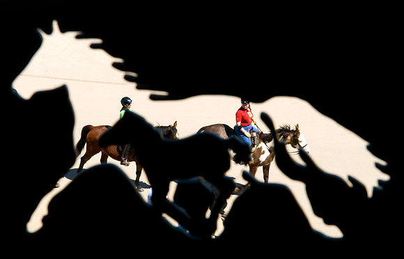EQUINE