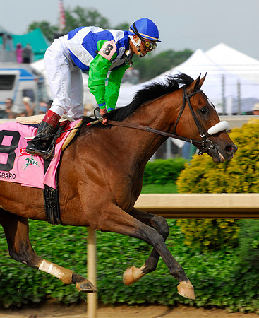 EQUINE
