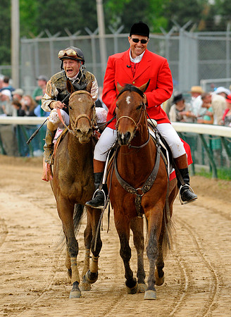 EQUINE