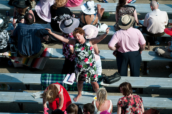 EQUINE
