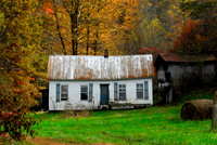 McGlone Creek Community