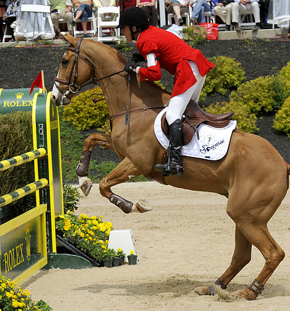 EQUINE