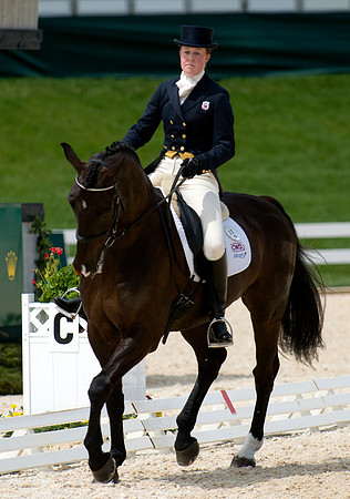 EQUINE