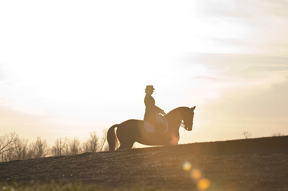 EQUINE