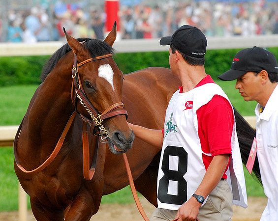 EQUINE