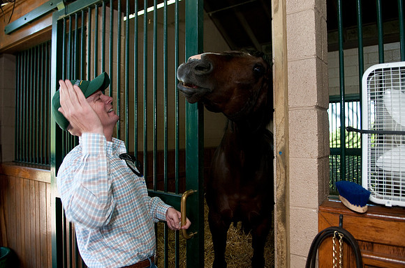 EQUINE