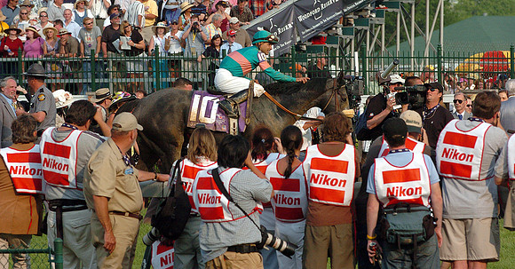 EQUINE