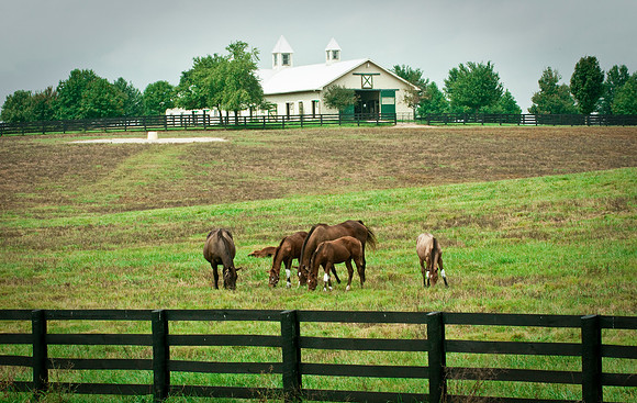 KENTUCKY LIVING MAGAZINE