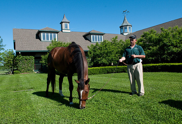 EQUINE