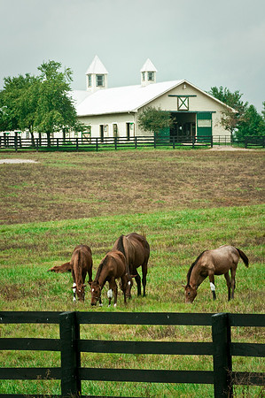 KENTUCKY LIVING MAGAZINE