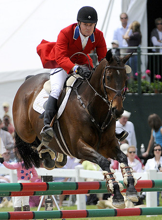 EQUINE
