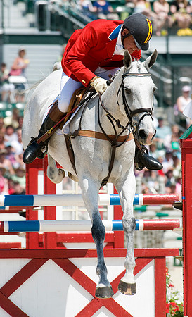 EQUINE